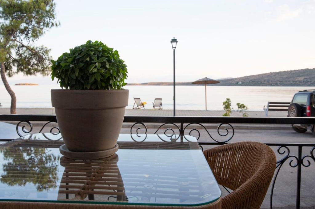 Balcony at Nerissa Itea with basil plant and sea view